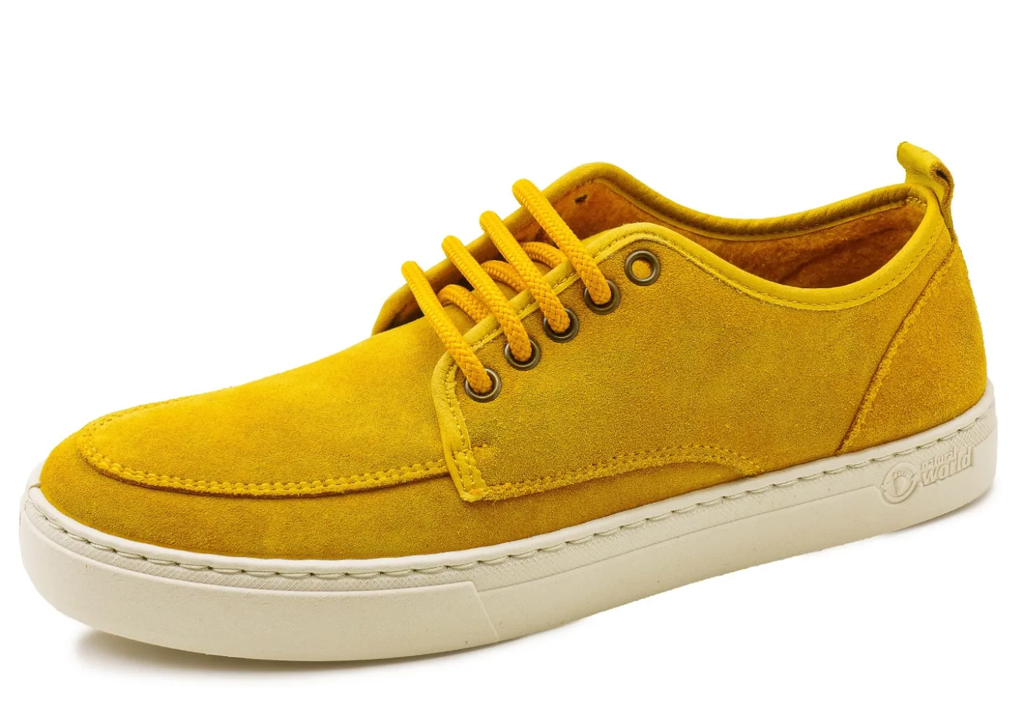 Blucher